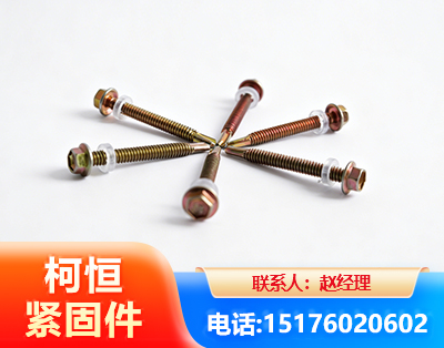 扬州六角钻尾丝